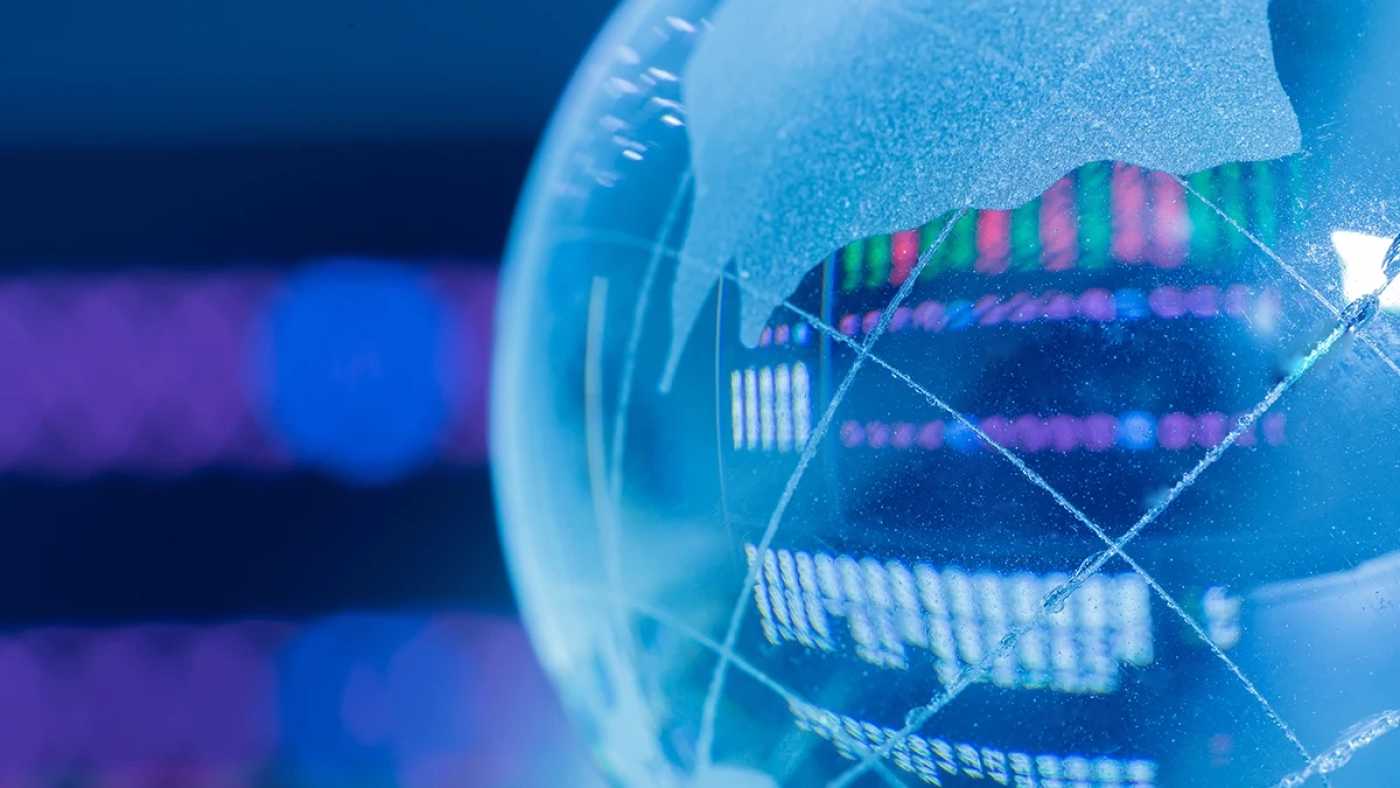 verihound_post_authorized_payment_freud_v1